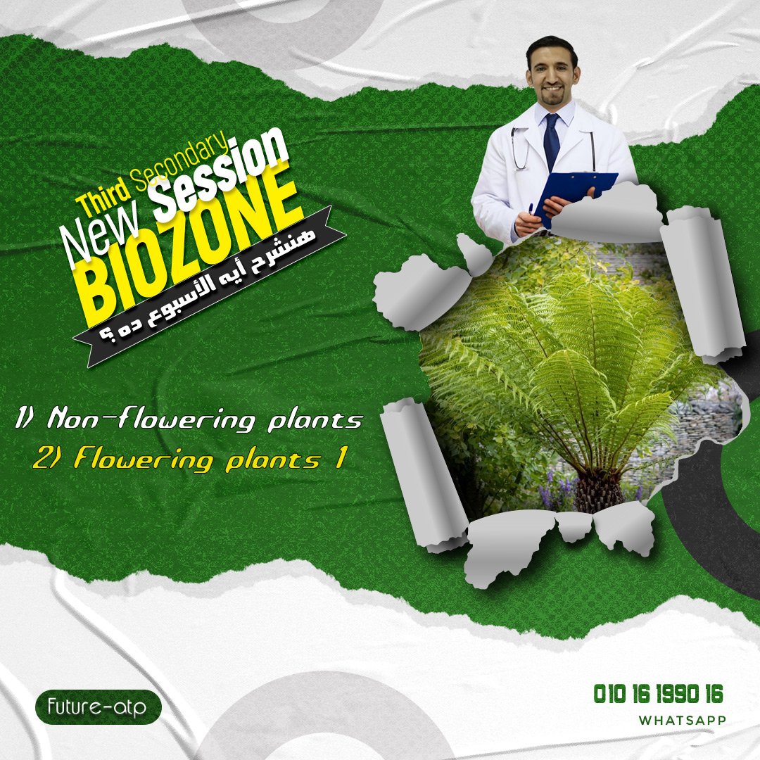 Non-flowering plants (Ferns)